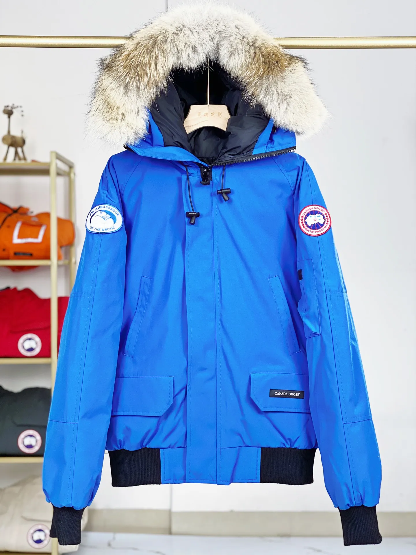 P780 Canada goose/Canada Goose Chilliwack 01 bomber jacket down jacket, authentic original clothing mold, all accessories are customized from the original factory. 💯The softness of the fabric is compared with the original product, and it can be restored by kneading at will (fabric misunderstanding: it is not a high-hardness fabric that is waterproof. Only those who buy the latest authentic version this year will notice the softness and comfort of the fabric) 💯The down is synchronized with the authentic white duck down, fluffy and not clumps, electronically controlled down filling machine. 💯Customized authentic YKK zipper pullers, high hardness and no jamming 💯The fur collar is custom-made from coyote skins in western Canada, the original version has the same origin 💯All workmanship and wiring are controlled by workers with more than ten years of service. They must be horizontal and vertical, and are not crooked. The inner wiring density is more sophisticated. Feel free to compare 💯Goose logo on sleeves, collar label, washed label, hangtag, zipper cord, pocket label, cuff thread, hem thread All details are updated simultaneously with the original product. The best version with the most complete colors. Sizes: XS-XXL (size chart attached below)